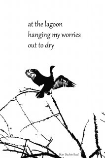 dian-reed-cormorantlagoon.jpg