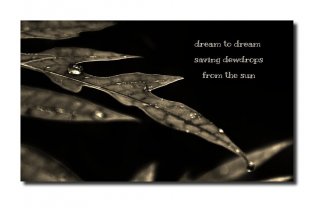 Elisa-Theriana_dream-to-dream.jpg
